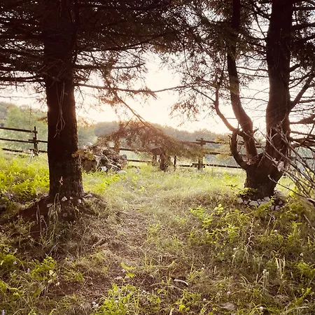 Il Nido Di 公寓 Livata